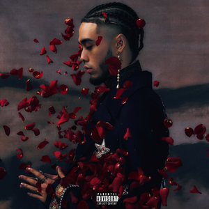 风间阿姨演过哪些电影
